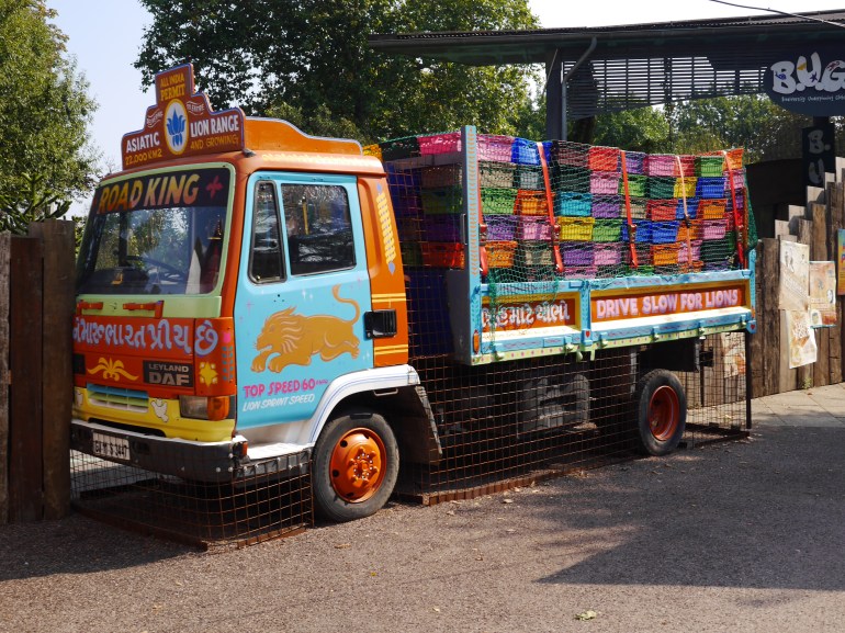 Land of the Lions ZSL