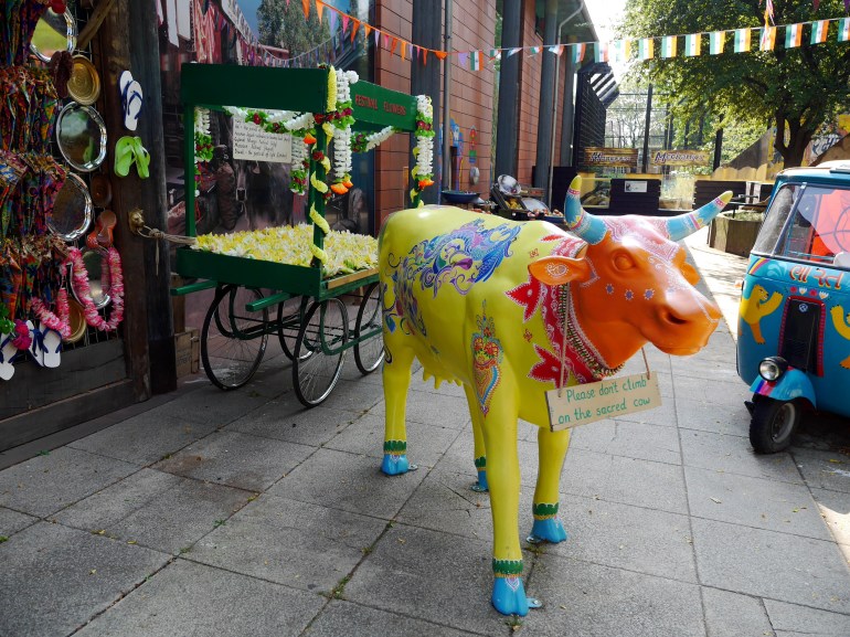 Lucky Cow at ZSL