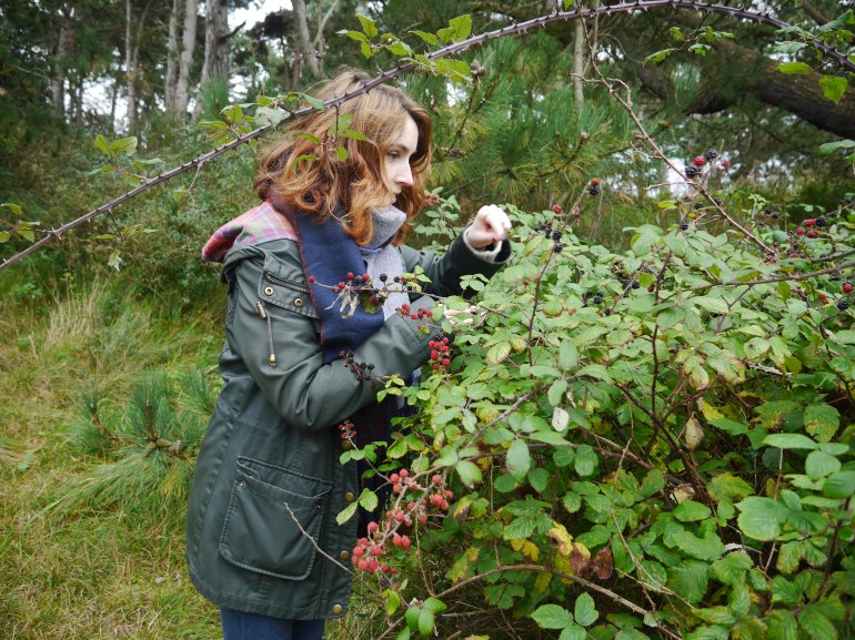 Blogger Blackberry Picking
