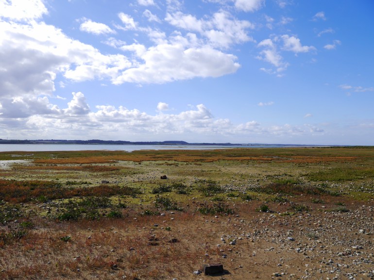 Blakeney Point Boat Trip