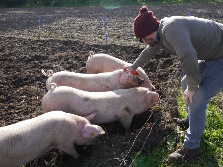 Farm boy at Wiveton Hall