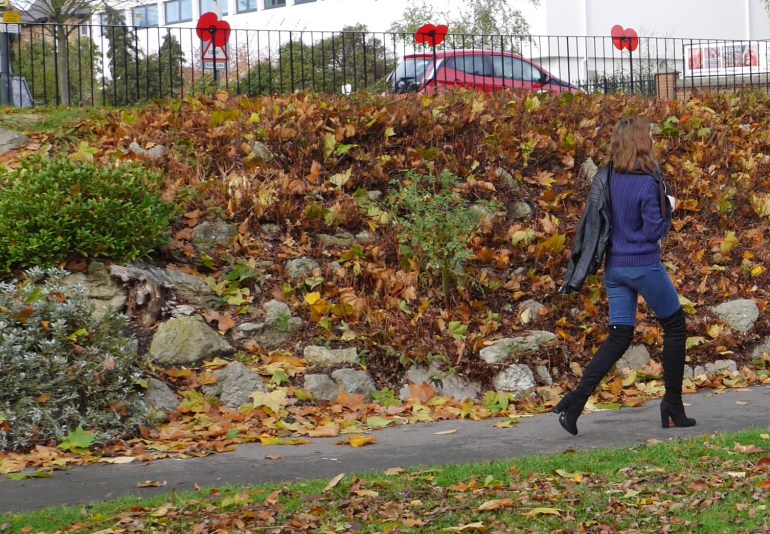 Autumn Blogger Outfit