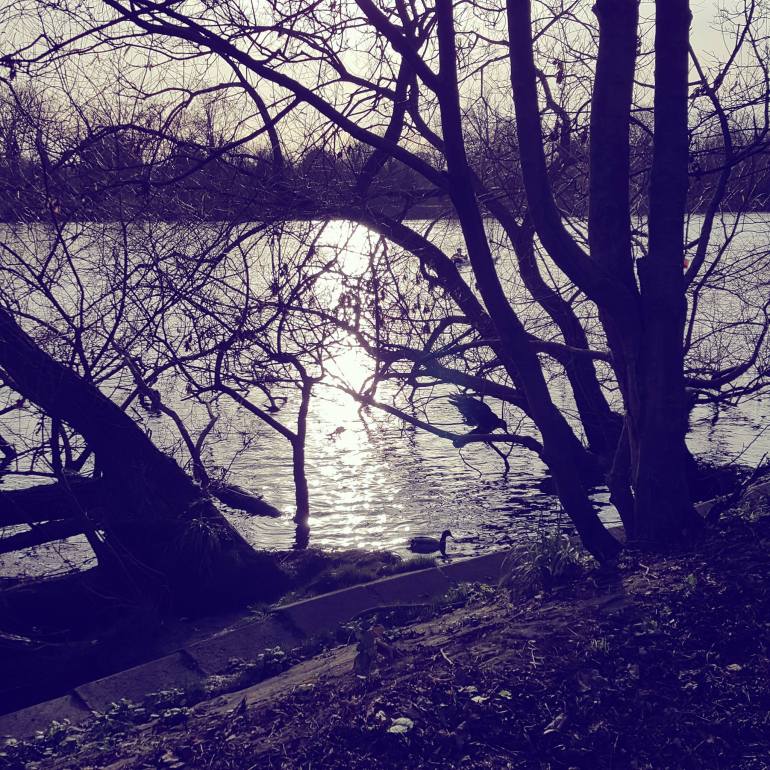 Boxing Day Walk Instagram