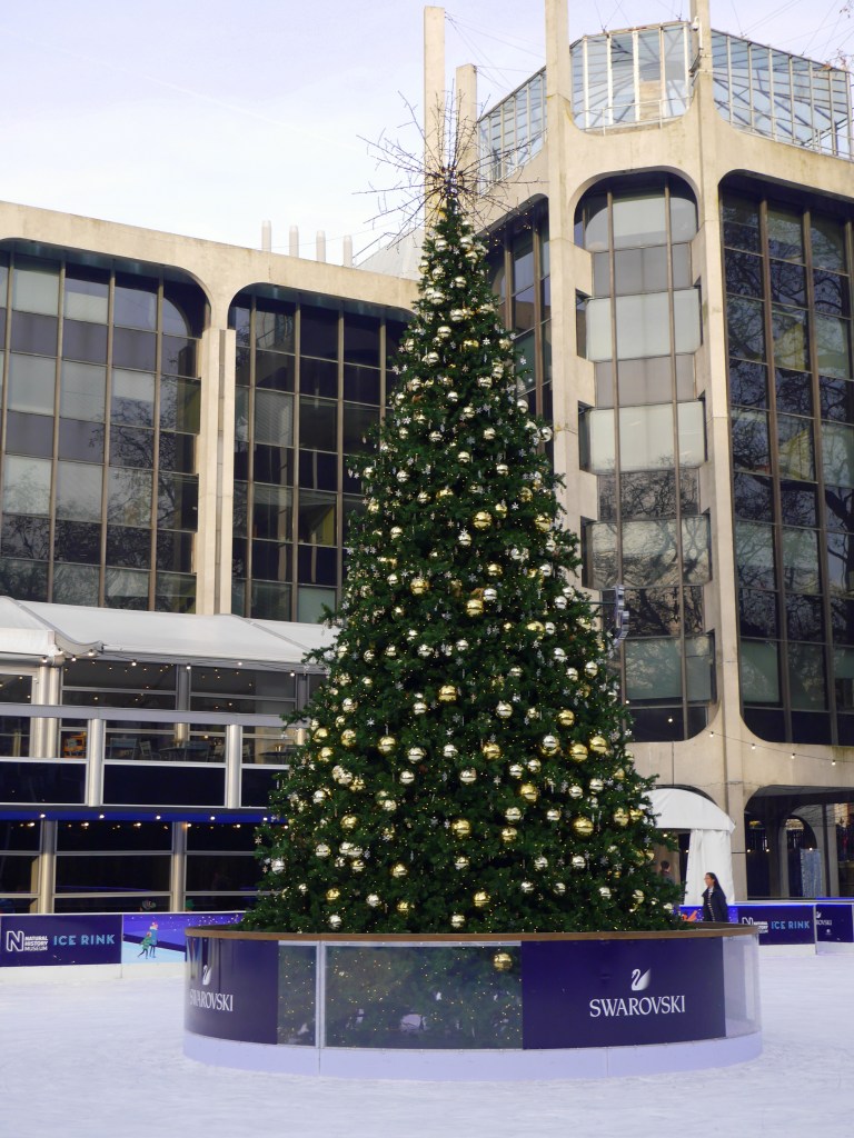 Ice Skating at Natural History Museum