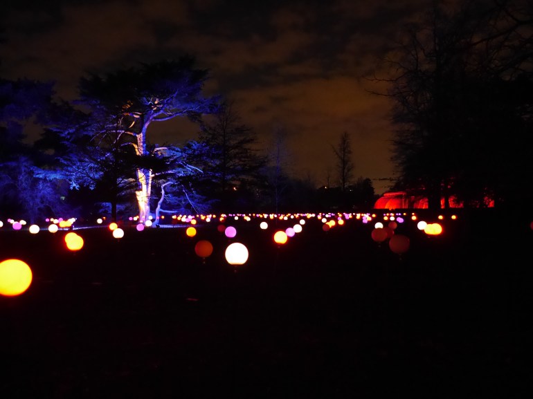 Christmas Light Installation