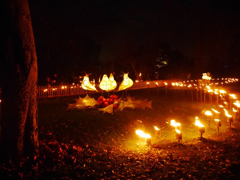 4 French Hens Kew Illuminations
