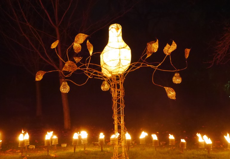 Partridge in a Pear Tree