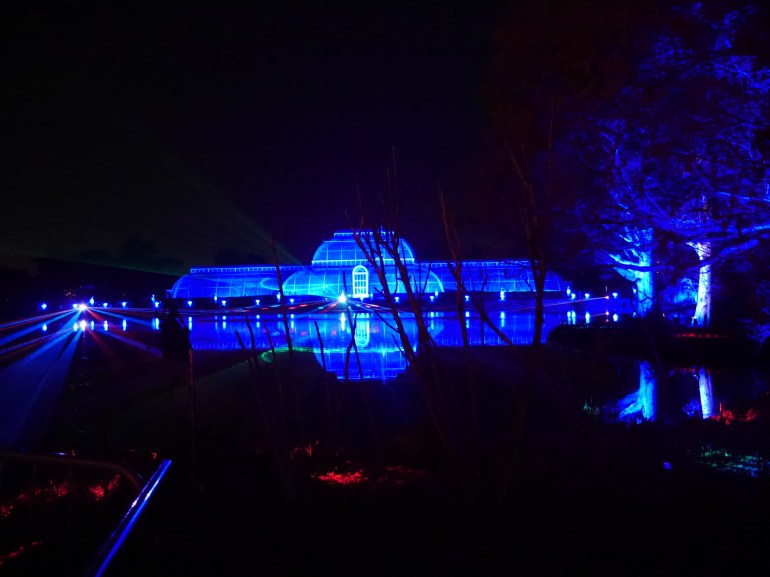 Christmas at Kew Glass House