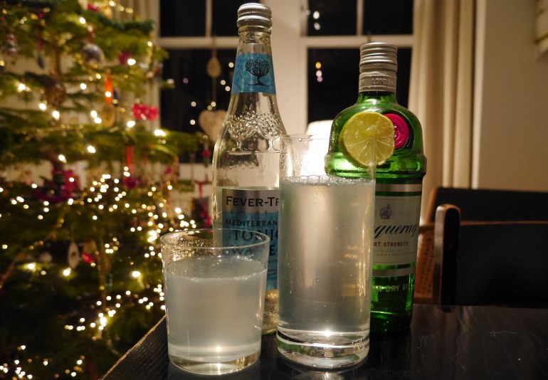 Festive Gin and Tonic Photo