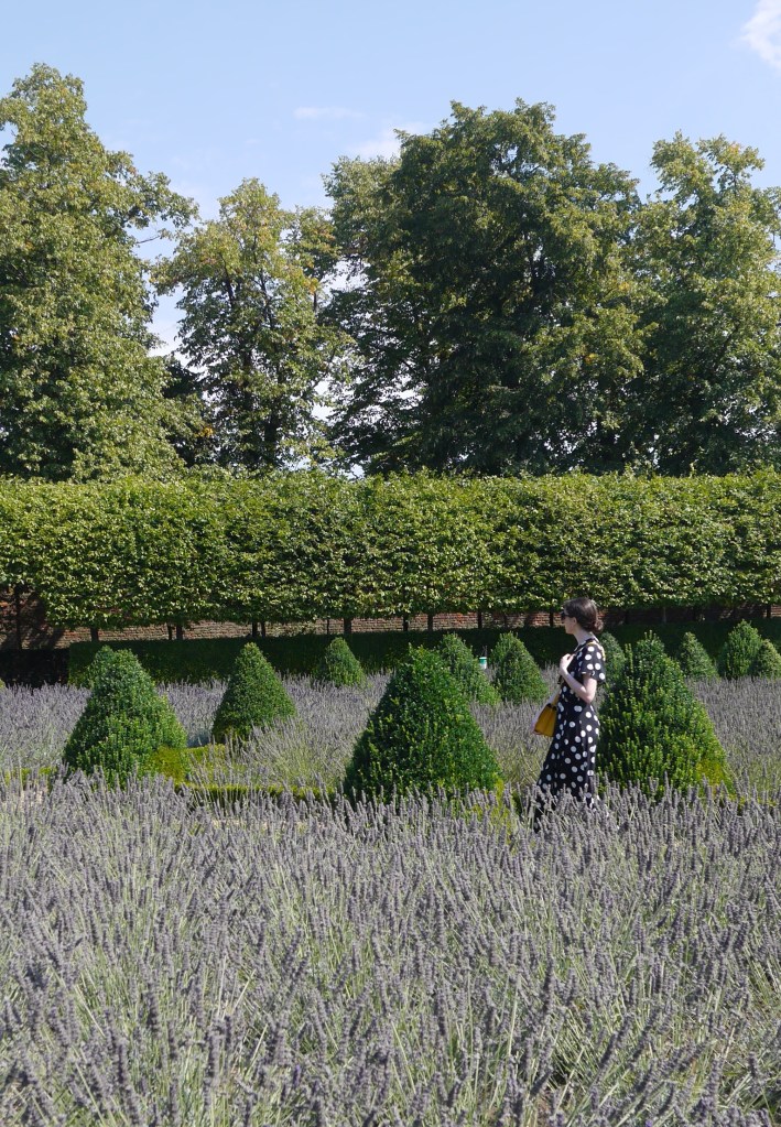 Blogger in Lavender Garden