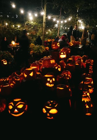 Pumpkin Fun For All The Family