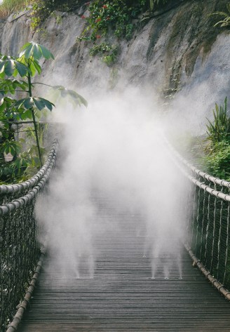 Cloud Bridge at Eden Project
