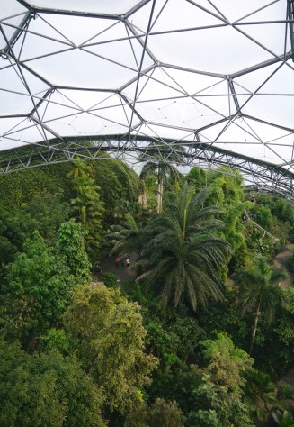 Views from the canopy walk at Eden Project