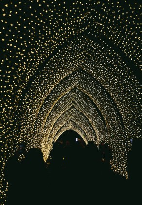 The Cathedral of Light Christmas at Kew