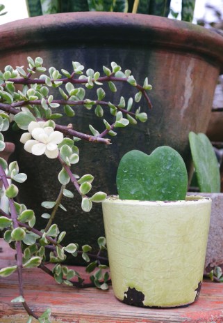 Wedding Planning for Young couples